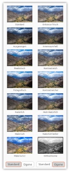 Screenshot built-in and custom presets Photomatix for Linux